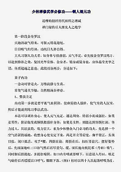 少林禅修武学必修功_铜人溷元功.完整版.pdf