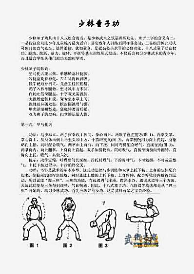 少林童子功.完整版.pdf