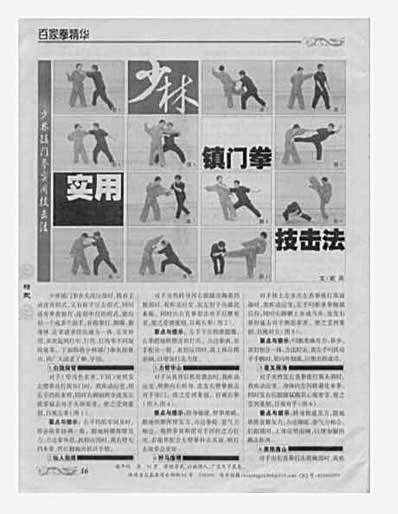 少林镇门拳实用技击法.完整版.pdf