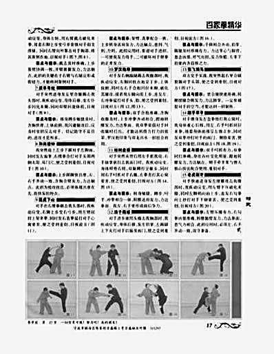 少林镇门拳实用技击法.完整版.pdf