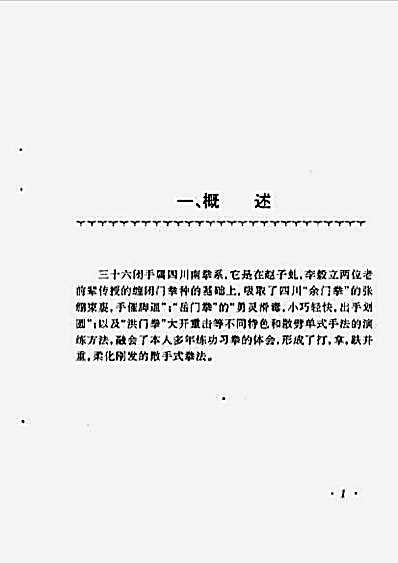 峨嵋三十六闭手.完整版.pdf