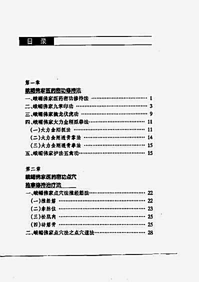峨嵋佛家医药秘功.完整版.pdf