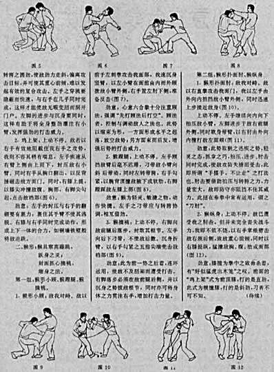 心意六合拳十大真形技击精要.完整版.pdf