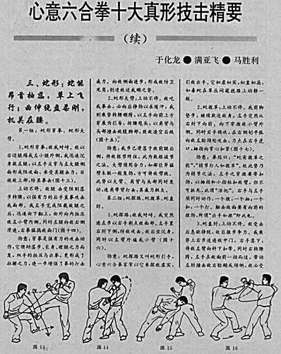 心意六合拳十大真形技击精要.完整版.pdf