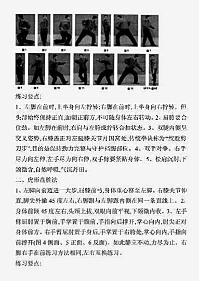心意六合拳十形盘桩法.完整版.pdf