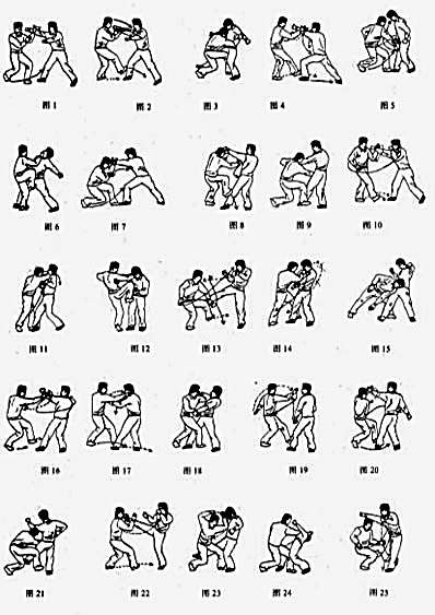 心意六合拳技击二十法_马胜利.完整版.pdf