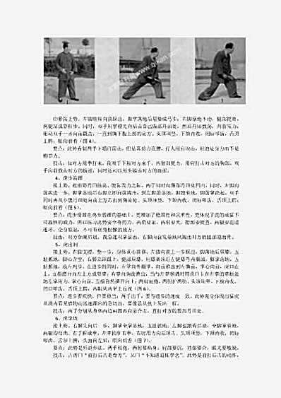 心意虎形连环捶.完整版.pdf