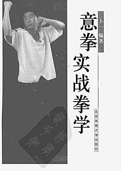 意拳实战拳学.卜一.完整版.pdf