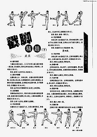 戳脚精趟_下.完整版.pdf