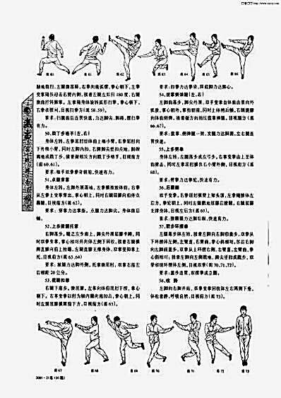 戳脚精趟_下.完整版.pdf