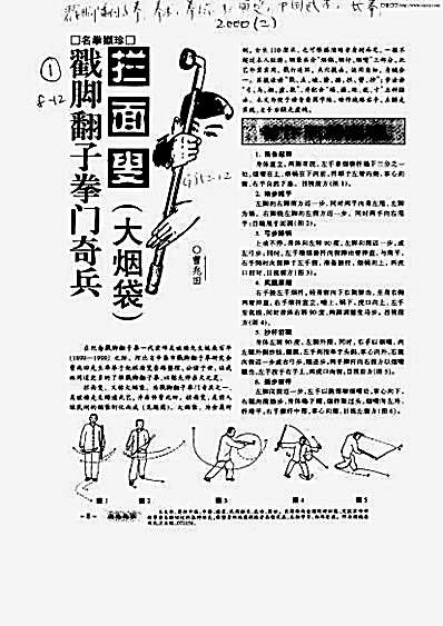 戳脚翻子拳门奇兵.完整版.pdf