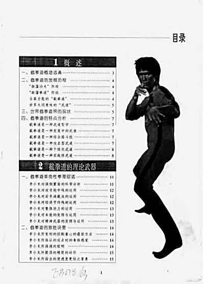 权威截拳道_魏峰.完整版.pdf