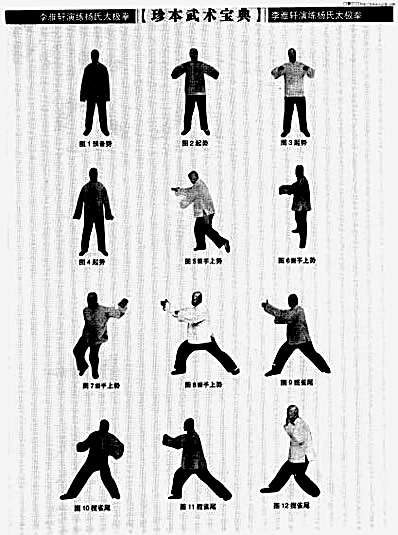 李雅轩演练杨氏太极拳.完整版.pdf