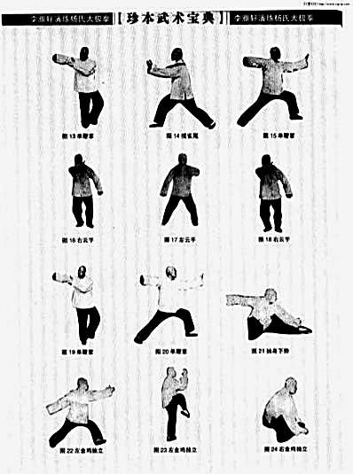 李雅轩演练杨氏太极拳.完整版.pdf