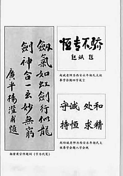 杨氏51式太极剑_赵幼斌著.完整版.pdf