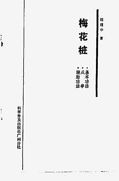 梅花桩_韩建中.完整版.pdf