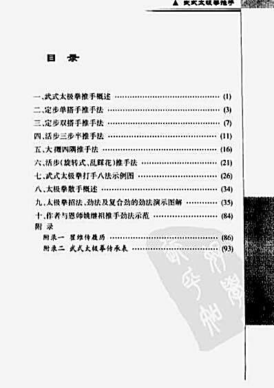 武式太极拳推手_翟维传.完整版.pdf