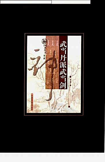 武当丹派武当剑_马杰着.完整版.pdf