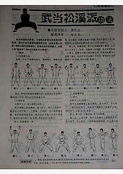 武当松溪派功法-何国立_游民生.完整版.pdf
