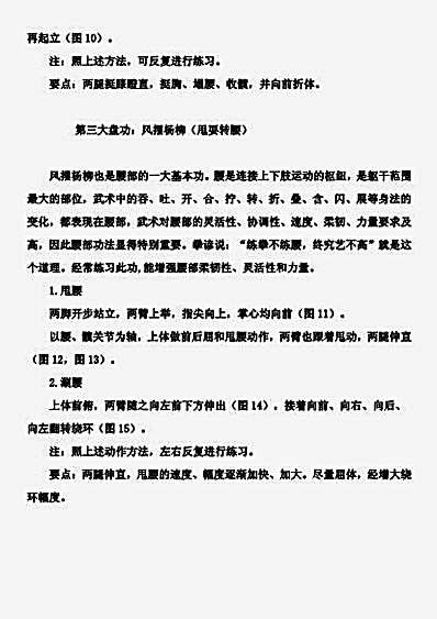 武当洪拳十大盘功_安在峰.完整版.pdf