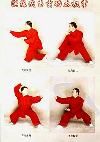 武当玄功太极掌_刘世君.完整版.pdf