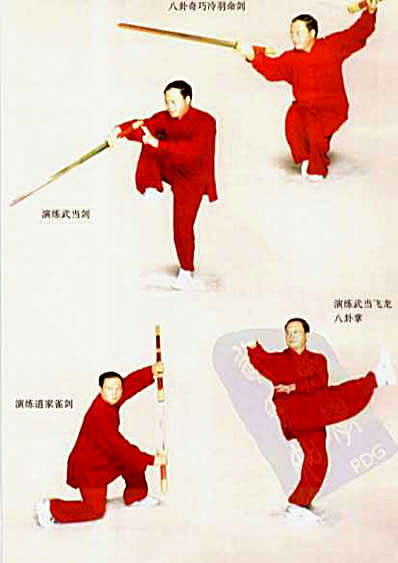 武当玄功太极掌_刘世君.完整版.pdf