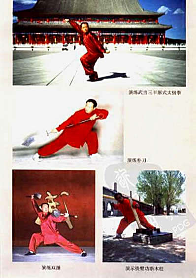 武当玄功太极掌_刘世君.完整版.pdf