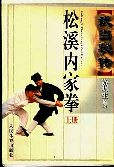 武当秘传松溪内家拳_上册.完整版.pdf