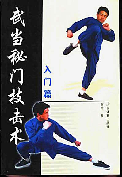 武当秘门技击术_入门篇.完整版.pdf