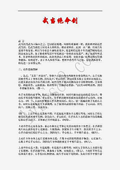 武当绝命剑.文字版.完整版.pdf