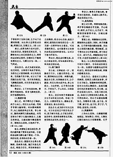 武当飞剑术_镖拳_中.完整版.pdf