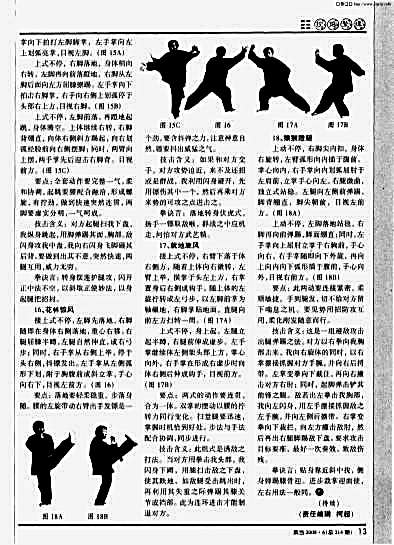 武当飞剑术_镖拳_中.完整版.pdf