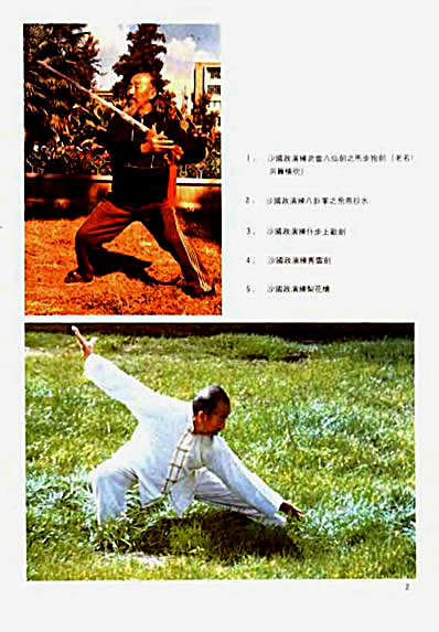 沙国政专辑_八卦狮形掌_形意鸡形掌_武当八仙剑_沙国政.完整版.pdf