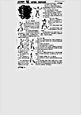 洪家铁线拳2.完整版.pdf