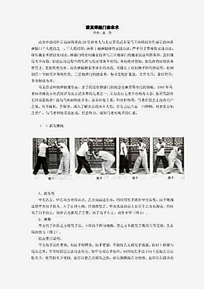 清真弹腿门擒拿术.完整版.pdf