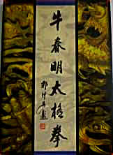 牛春明太极拳.完整版.pdf