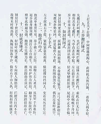 王新午太极拳散手要诀_陈有山整理.完整版.pdf