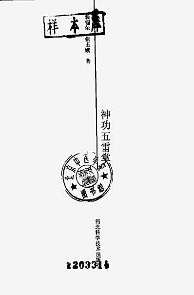 神功五雷掌_裴锡荣_张玉娥.完整版.pdf