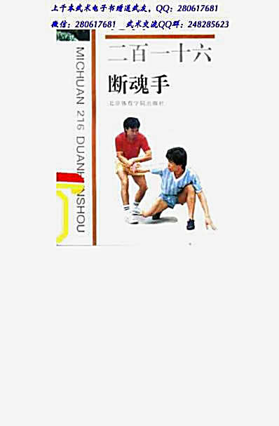 秘传二百一十六断魂手.完整版.pdf
