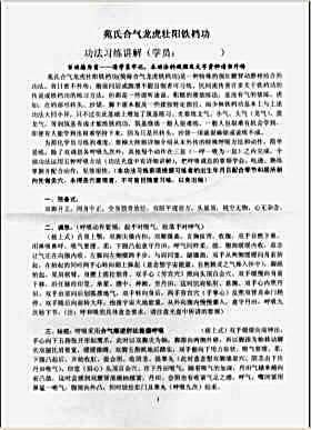 苑氏合气龙虎壮阳铁裆功.完整版.pdf