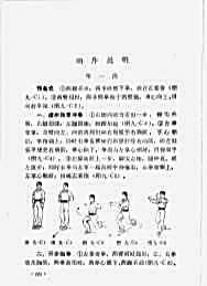 虎鹤双形拳_全国武术院校教材.完整版.pdf