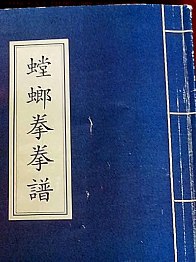 螳螂拳拳谱-赵福康.完整版.pdf