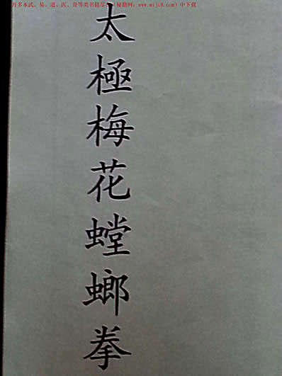 螳螂拳拳谱-赵福康.完整版.pdf