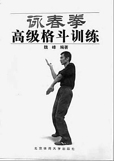 咏春拳顶尖高手必修_4.完整版.pdf