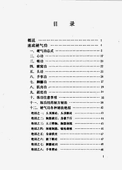 速成硬气功与金刚指点穴术.完整版.pdf