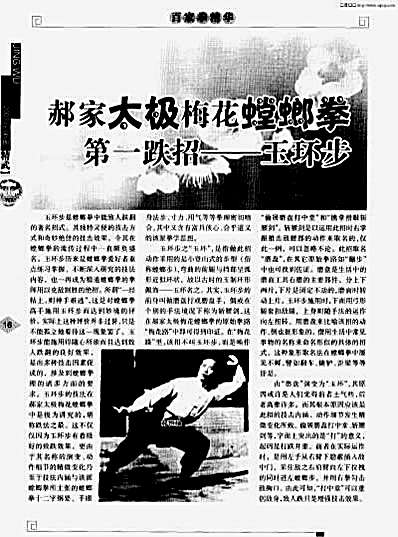 郝家太极梅花螳螂拳第一跌招_玉环步.完整版.pdf