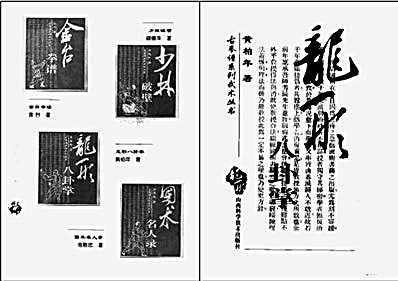 龙形八卦掌_黄柏年.完整版.pdf