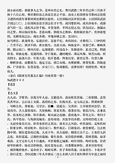 文总集.唐代墓志汇编续集.pdf