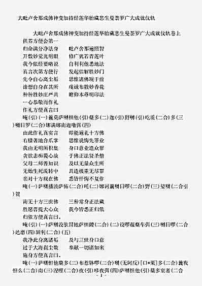 密教部.大毗卢舍那成佛神变加持经莲华胎藏悲生曼荼罗广大成就仪轨.pdf