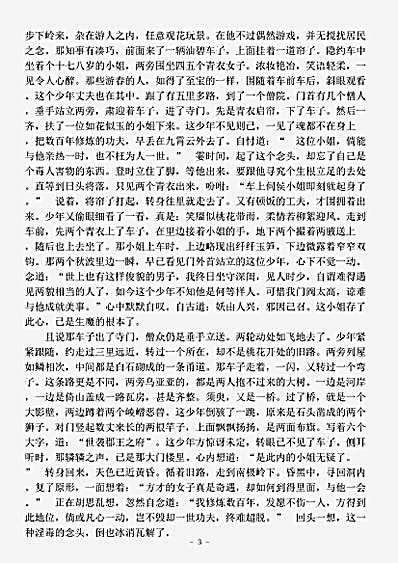 小说.婆罗岸全传-清-佚名.pdf